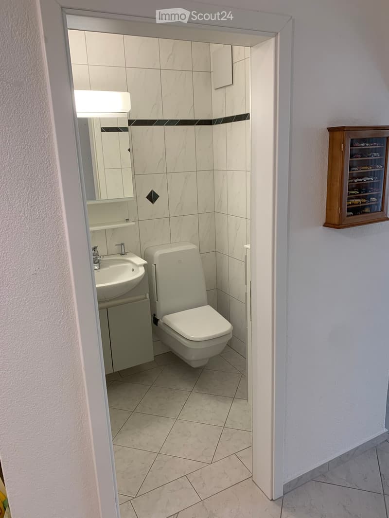 Bathroom with white tiles, white sink, white toilet, mirror, wooden display case