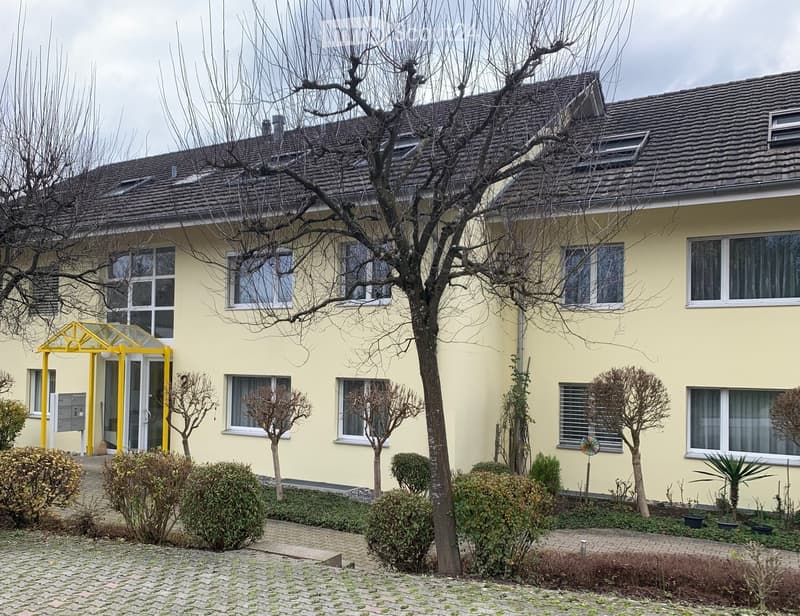 Yellow building, multiple windows, brick pavement, trees, bushes, mailbox
