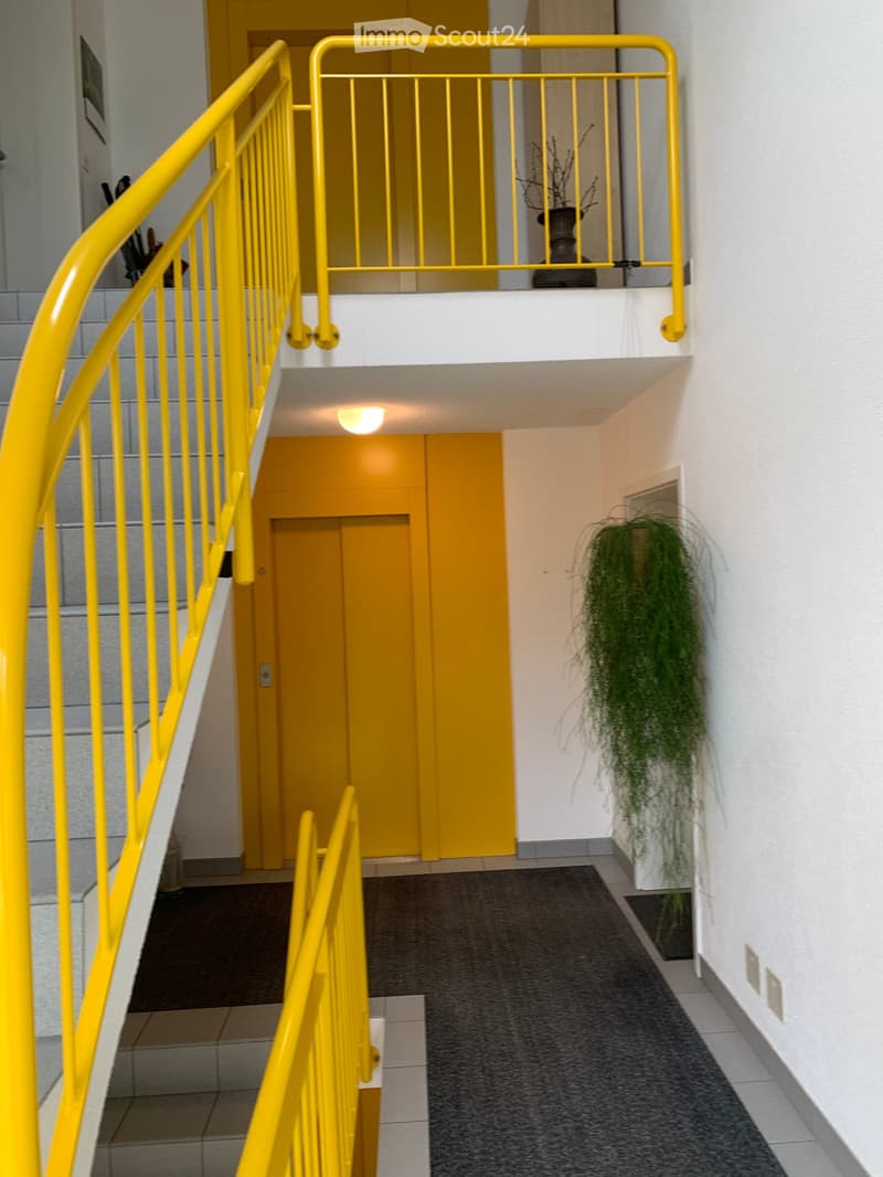 Modern hallway with yellow handrails, carpeted floor, elevator door, and potted plants on the walls.
