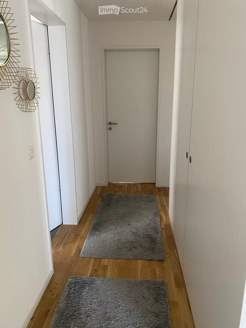 A narrow hallway with light wooden flooring, white walls, and two grey shag rugs placed on the floor. A closed door is visible at the end of the hallway, and a decorative wall-mounted mirror is on the left side.
