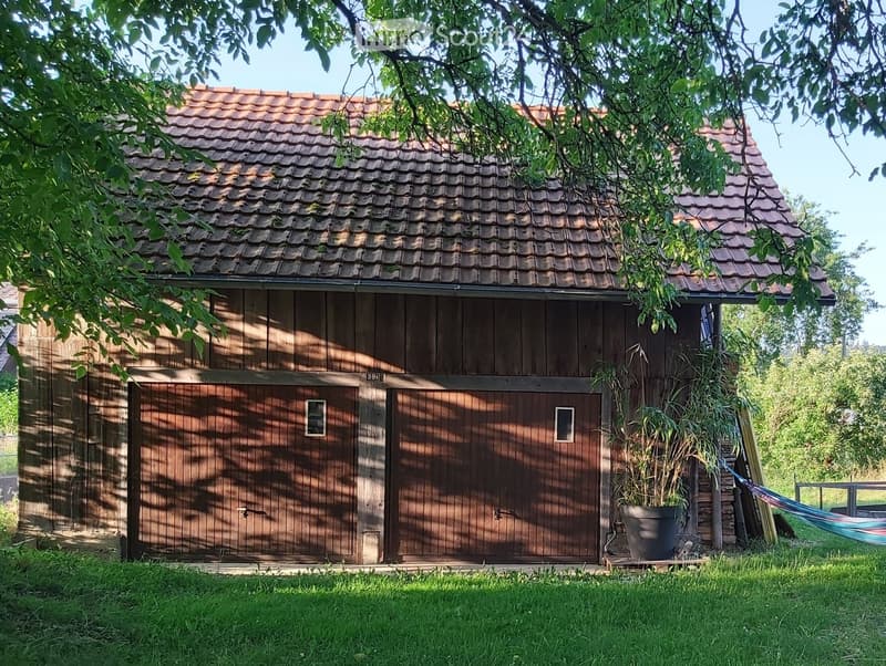 A small wooden shed with a tiled roof, two doors, and a potted plant nearby.