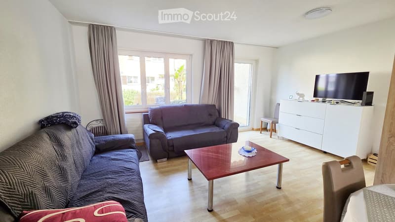 large window, large couch, loveseat, table, TV, shelf, rug, stool