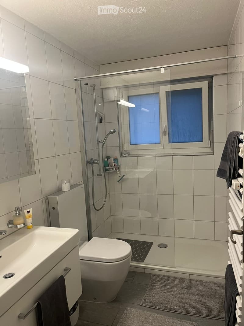 Modern bathroom with a white sink, toilet, glass-enclosed shower, towel rack, and a window with frosted glass. Includes a mirror, soap dispenser, and bath mats.