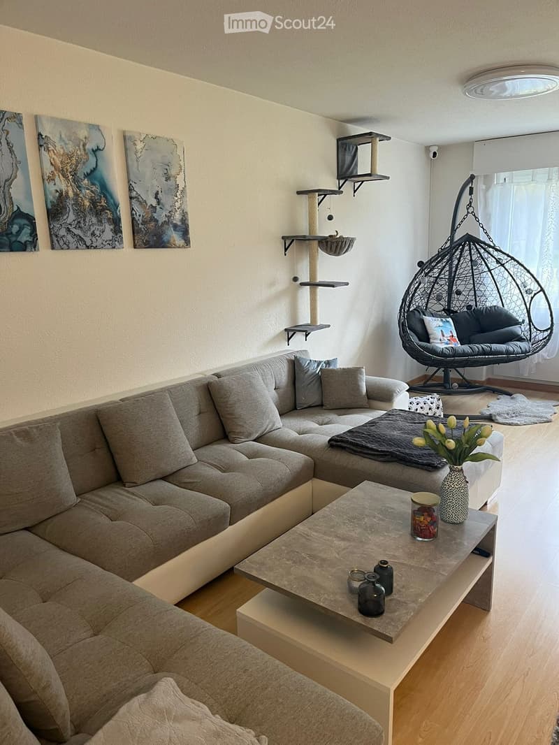 Modern living room with a grey sectional sofa, a stone coffee table, a cat tree, a hanging wicker chair, and decorative items including a vase with flowers and a blonde rug.