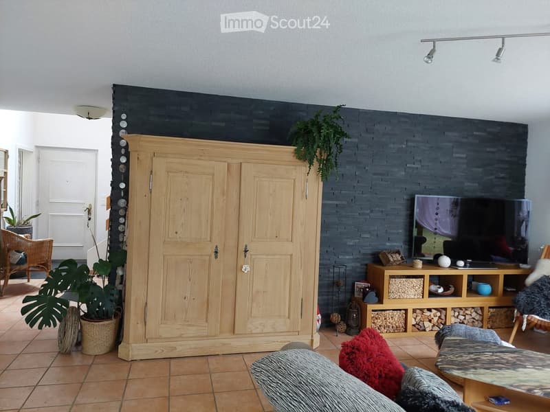 Living room with a large wooden cabinet, television, sofa, and various decorative items including potted plants and a wooden shelf with storage compartments.