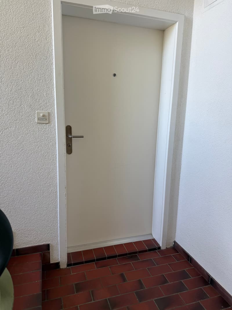 A narrow hallway with a closed door, red brick floor, and white walls.