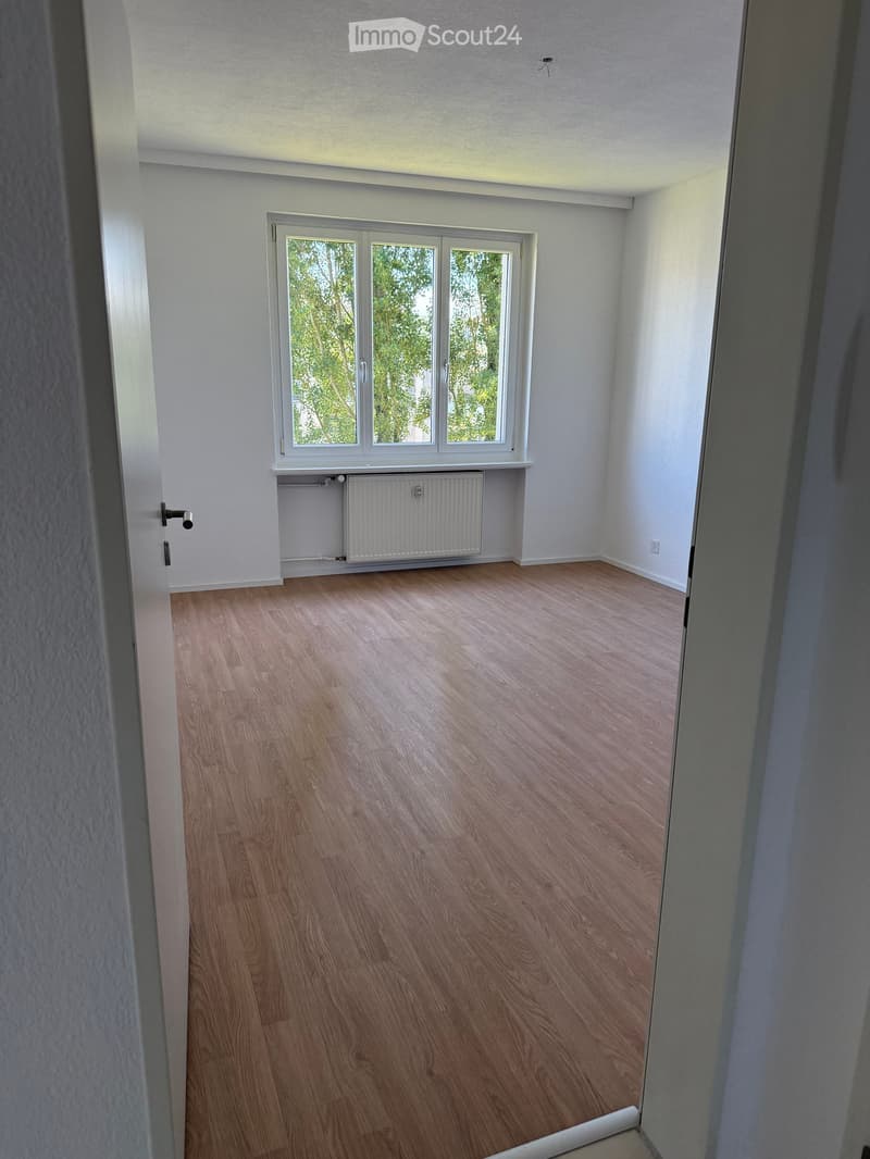 Empty room with light wooden flooring, white walls, and a large window with white frames. A radiator is installed below the window.