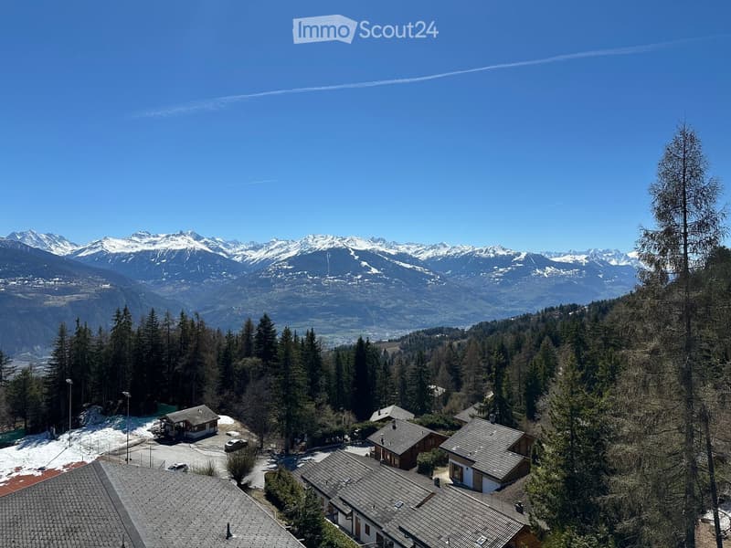 Aerial view of a residential area surrounded by dense forest, with snow-capped mountains in the background and a clear blue sky.