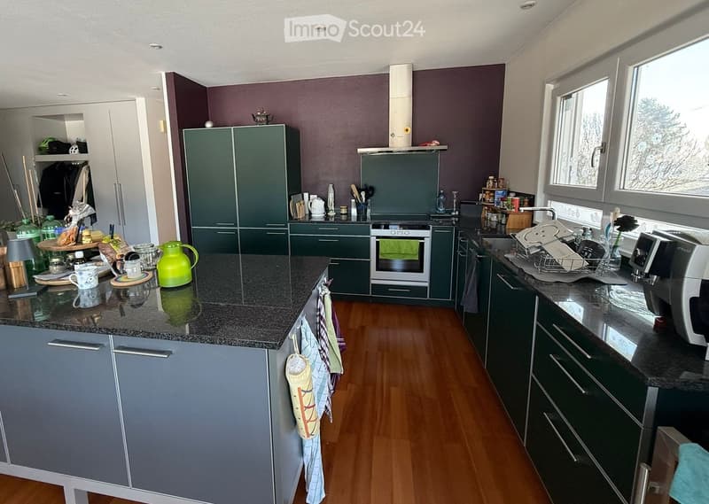 Modern kitchen with dark green cabinets, granite countertops, and wooden flooring. Features include an oven, sink, coffee maker, dish rack, and various kitchen items on the counters.