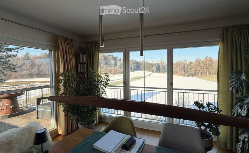 Bright living space with large windows offering a scenic view of a snowy landscape, furnished with a table, chairs, a lamp, and plants.