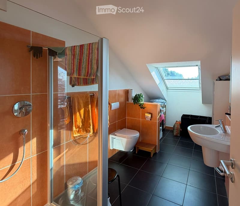 Bathroom with a toilet, sink, shower, and towels. Features a skylight window and a small plant on the shelf.