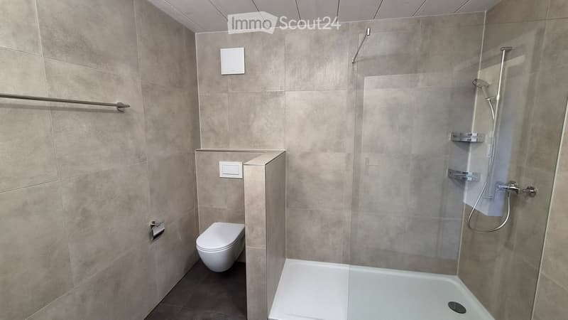 Modern bathroom with a toilet, bathtub, and walk-in shower with glass enclosure and multiple shower racks.