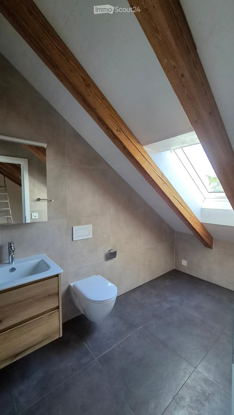 Modern bathroom with a sink, toilet, and mirror, featuring exposed wooden beams and skylight windows.