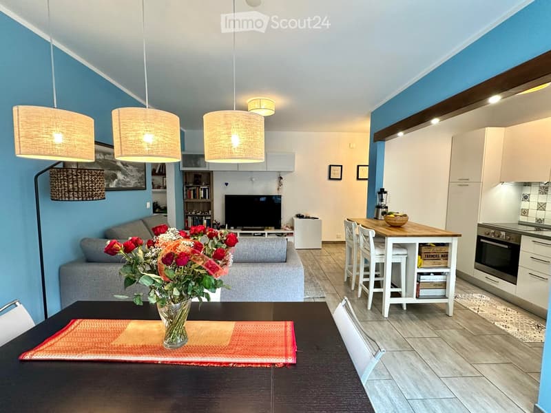 Open-plan living and dining area with a grey sofa, wooden dining table, kitchen island, and modern kitchen cabinets.