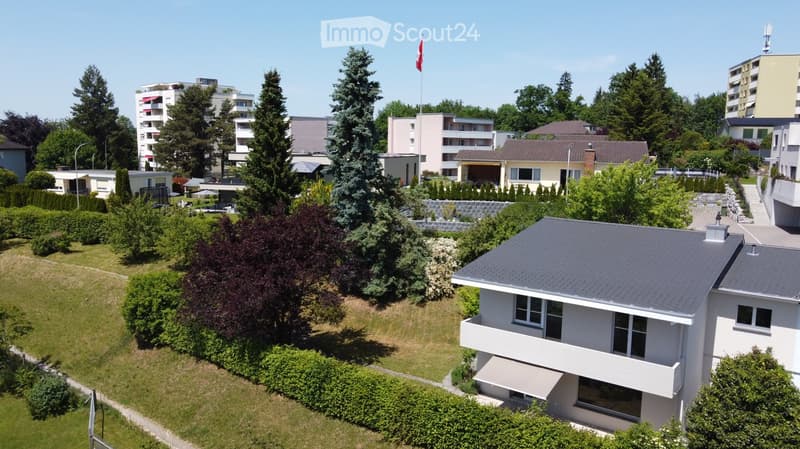 Aerial view of a residential area with multiple buildings, greenery, and a flagpole with a flag.