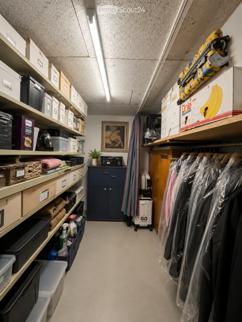 A well-organized storage hallway with shelves on both sides, containing boxes, clothing, cleaning supplies, and miscellaneous items. A small plant and artwork are visible on the wall.