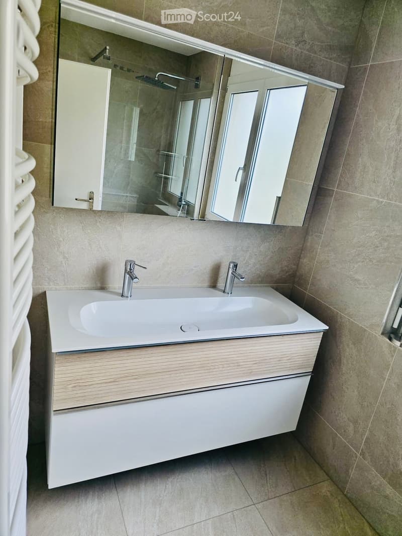 Modern bathroom with a white sink, dual faucets, a large mirror, and a wooden cabinet.