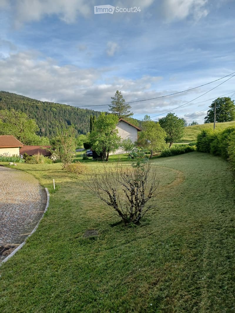 A grassy outdoor area with a small tree, a paved pathway, and distant houses surrounded by trees and hills.