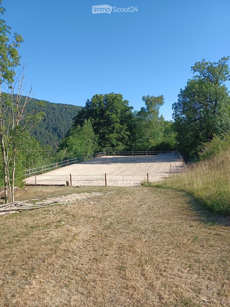 An outdoor area with a sandy arena surrounded by a wooden fence, trees, and a grassy field.