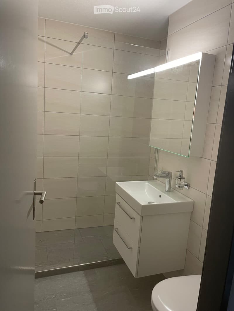 Modern bathroom with a white sink, chrome faucet, mirrored cabinet, and a glass-enclosed shower area.