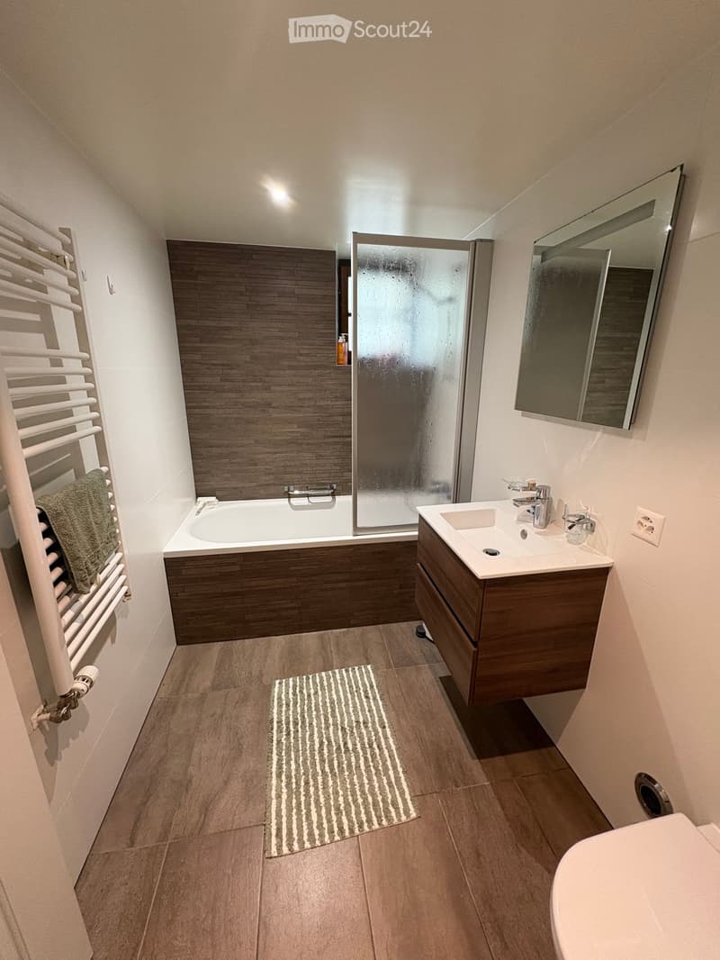 Modern bathroom with a bathtub, sink, toilet, mirror, radiator, and a small rug on the floor.