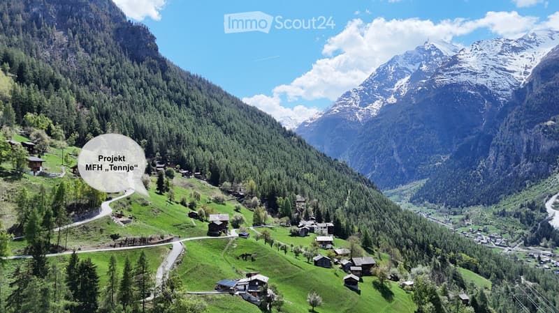 A scenic mountain valley with scattered houses, lush green forests, and snow-capped peaks in the background.