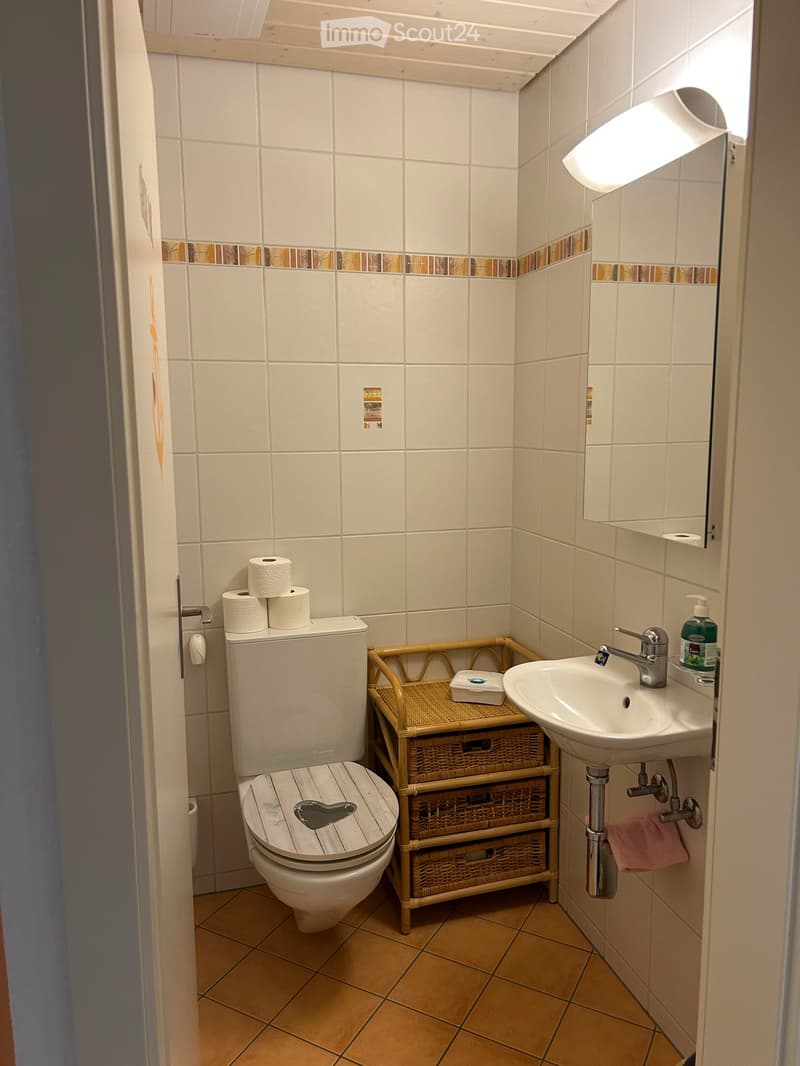 Grosszügige 5.5-Zimmer-Maisonette-Wohnung in Seedorf BE (13)