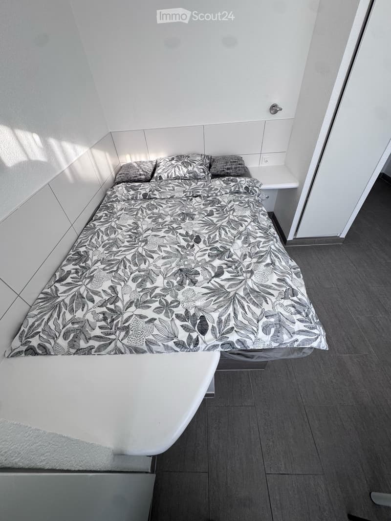 Studio rénové et lumineux à Lausanne, disponible immédiatement (7)