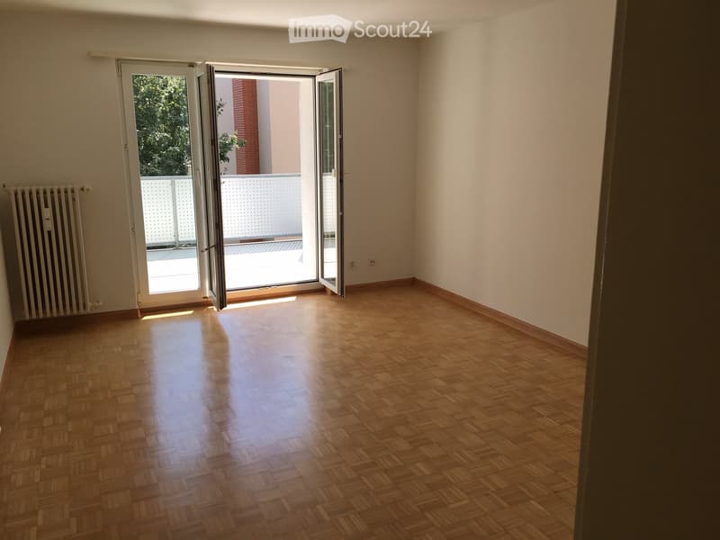 Empty room with wooden flooring, white walls, and a radiator on the left side. A large sliding glass door leads to a balcony with a white railing and a view of greenery.