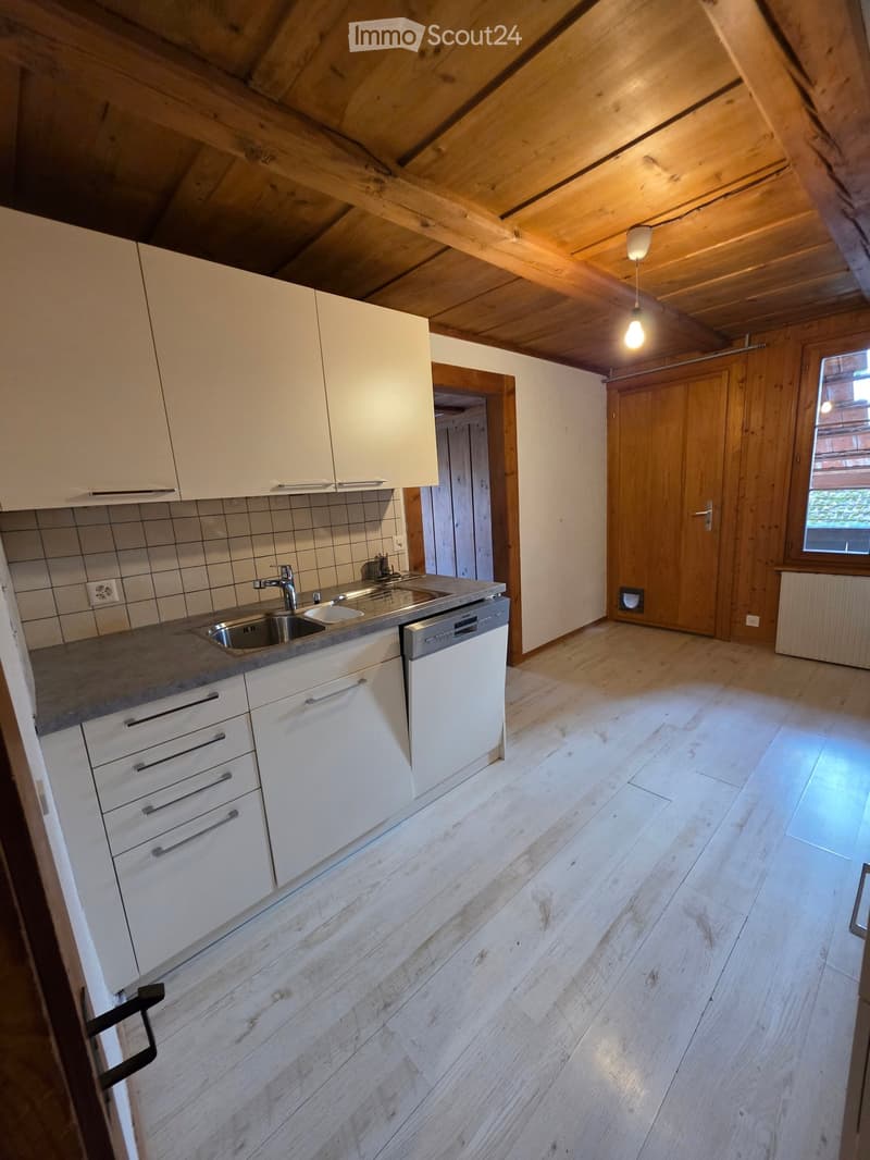 Modern, minimalist kitchen with wooden cabinets, stainless steel sink, wooden floors, dishwasher, washing machine, and pendant lighting.