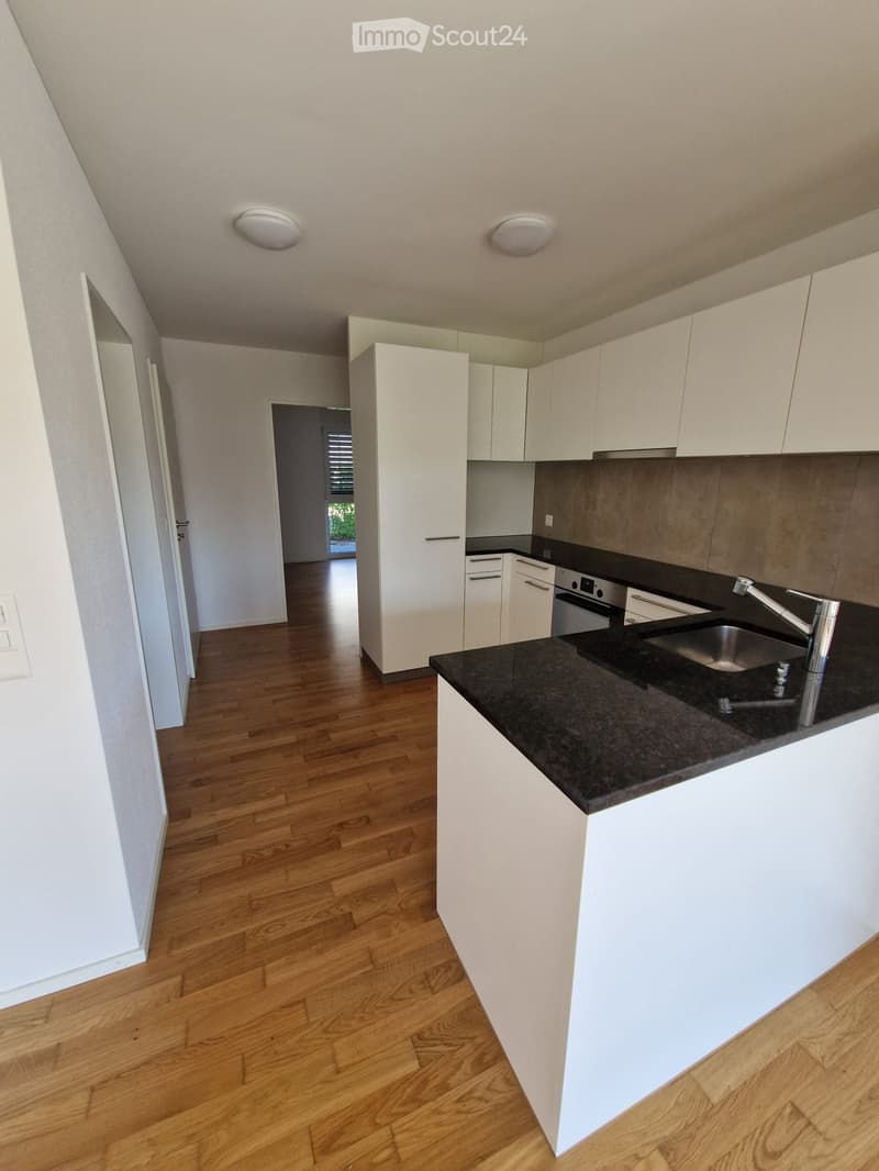 Modern kitchen with white cabinets, black granite countertop, stainless steel sink, and wooden flooring.