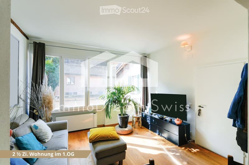 Bright living room with large windows, wooden flooring, grey sofa with colorful cushions, coffee table, television, and decorative plants.