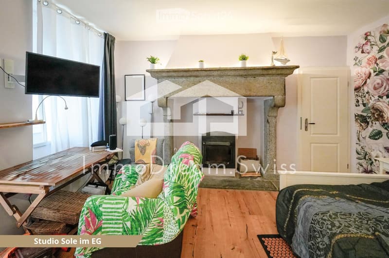 A cozy studio with wooden flooring, a fireplace, a sofa with a green and pink cover, a wooden table, a television, and decorative items including potted plants and a picture frame.