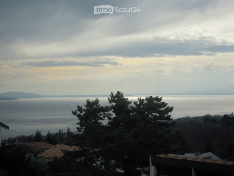 View of a coastal area with a body of water, distant landmasses, and trees in the foreground.