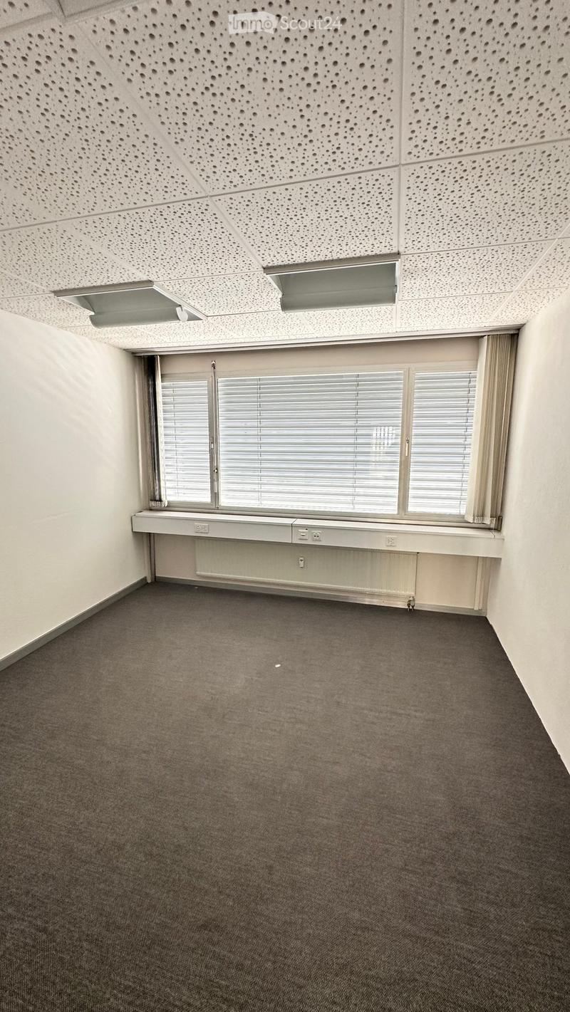 Empty room with grey carpet, white walls, large window with blinds, radiator, and perforated white ceiling with lighting fixtures.