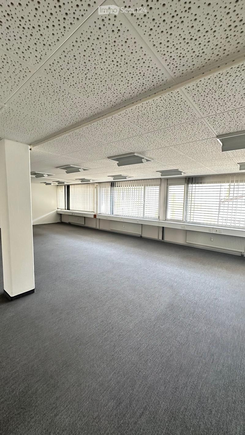 Empty room with grey carpet, white walls, large windows with blinds, and a perforated white ceiling.