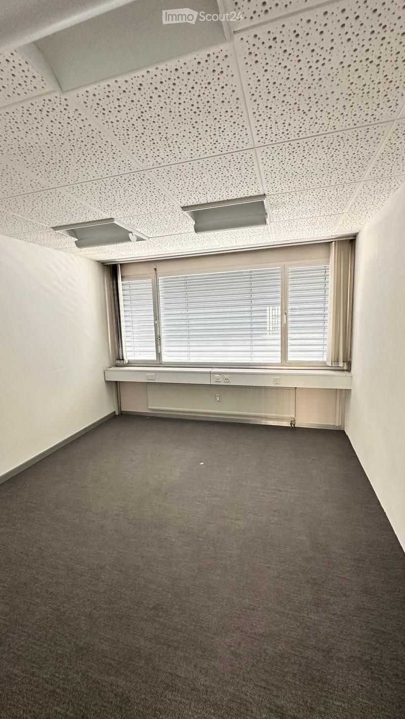 Empty room with grey carpet, white walls, large window with blinds, radiator, and perforated ceiling with lighting fixtures.