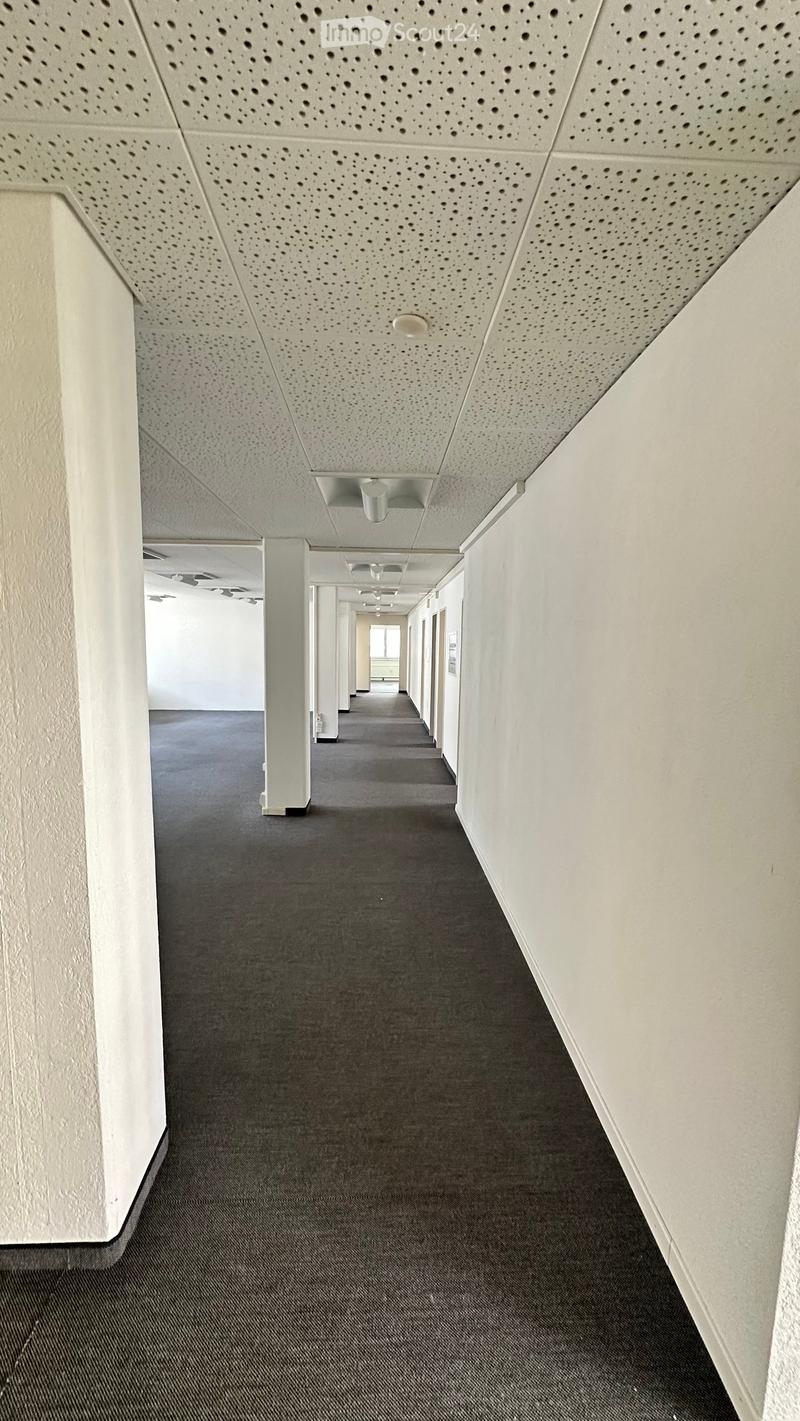 Clean, modern hallway with white walls, grey carpeted floor, and white ceiling with perforated acoustic panels. Features square white columns and recessed lighting.