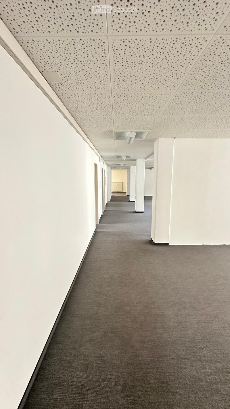Clean, modern hallway with white walls, grey carpeted floor, and white ceiling with circular perforations. Features white columns and recessed lighting fixtures.