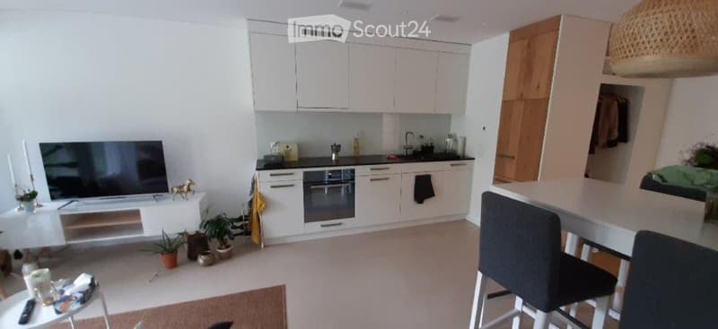 Modern, open-plan living and dining area with white cabinetry, a TV stand, a small sofa, a coffee table, and a dining table with chairs. The kitchen features white cabinets, a black countertop, and an oven.