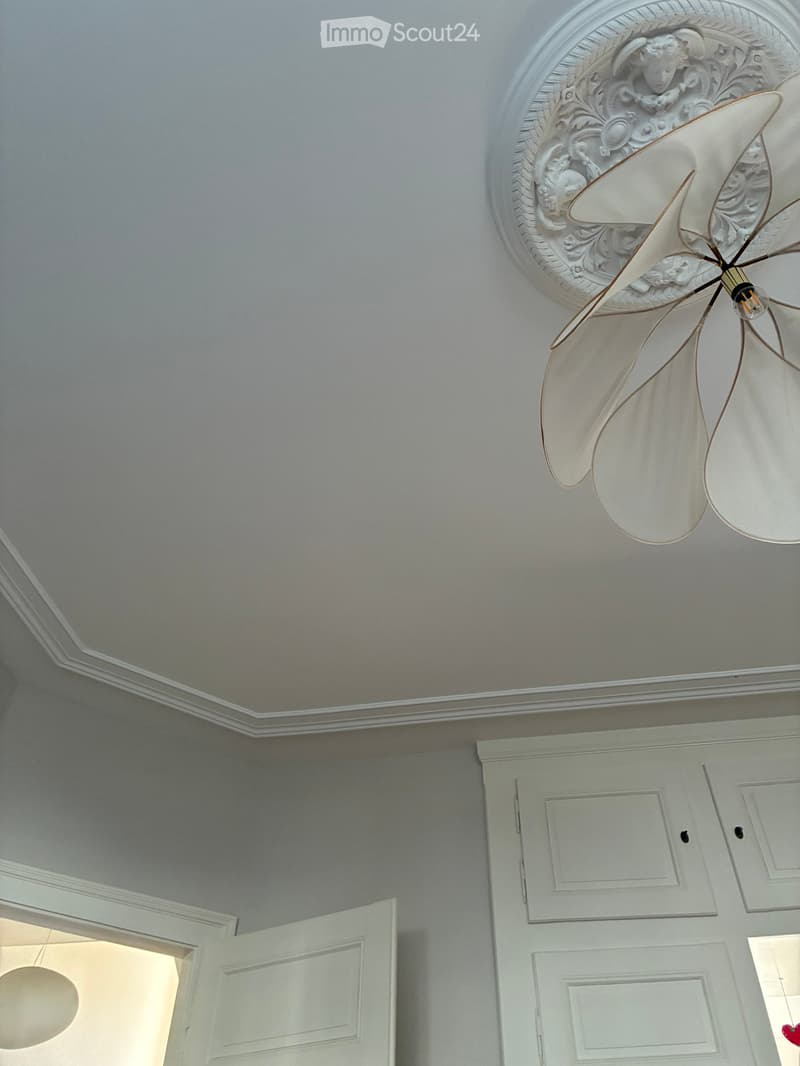Elegant hallway with a decorative ceiling medallion, a modern pendant light, and white panelled walls.