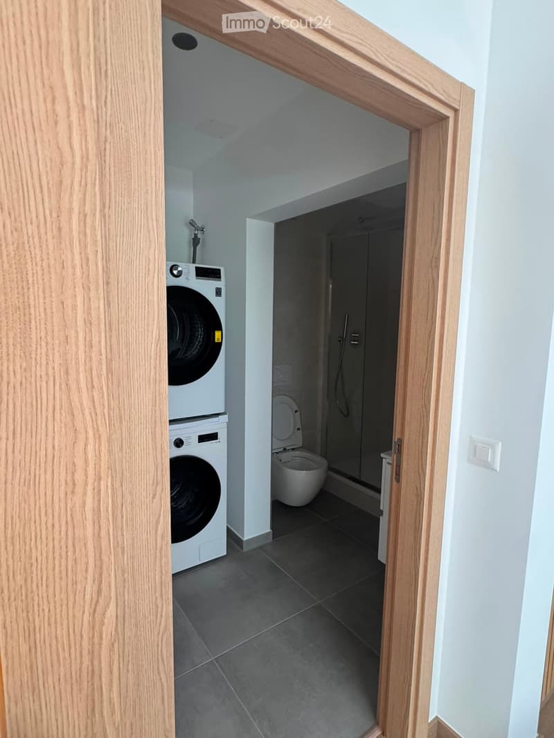 Modern bathroom with a washing machine, toilet, and shower area. The space features dark tiled flooring and light-colored walls.