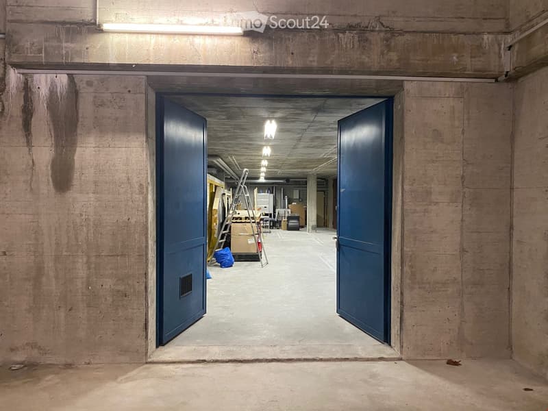 Concrete walls, two open doors, concrete floor, ladder, boxes, blue bag, ceiling lamps