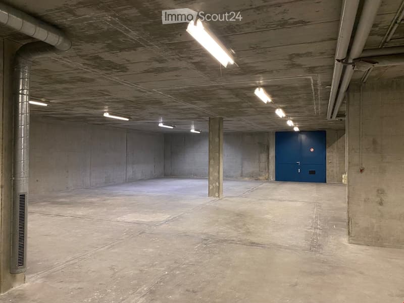 A concrete underground parking lot with fluorescent ceiling lights, white pillars, and a blue door.