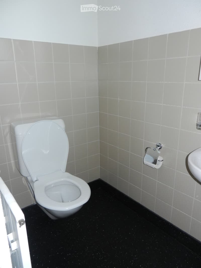 Modern bathroom with white toilet, toilet paper holder, and sink, featuring grey tiled walls and black speckled floor.