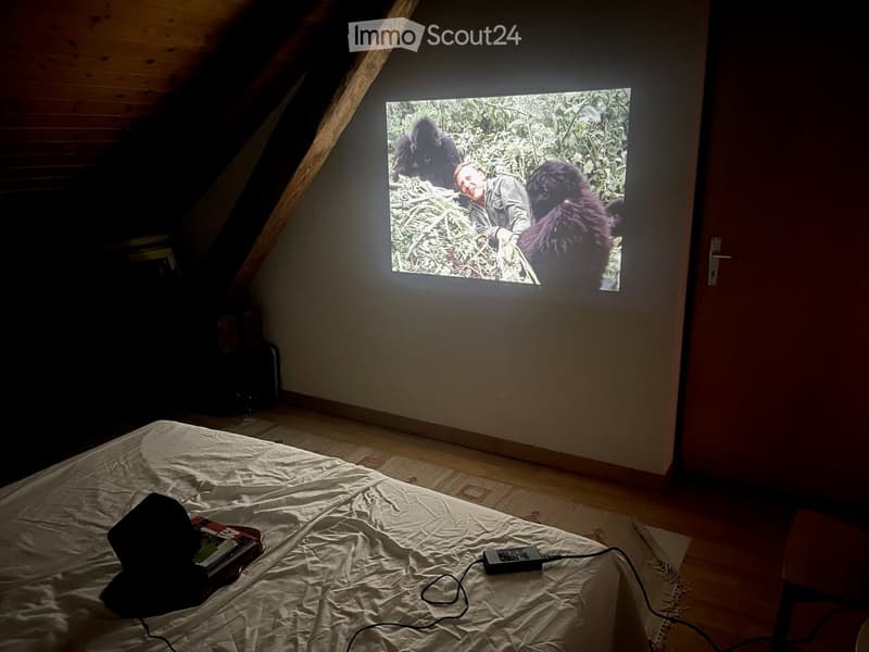 Loft-style bedroom with wooden slanted ceiling, bed with white sheet, power supply and books on bed, large screen displaying a nature documentary.
