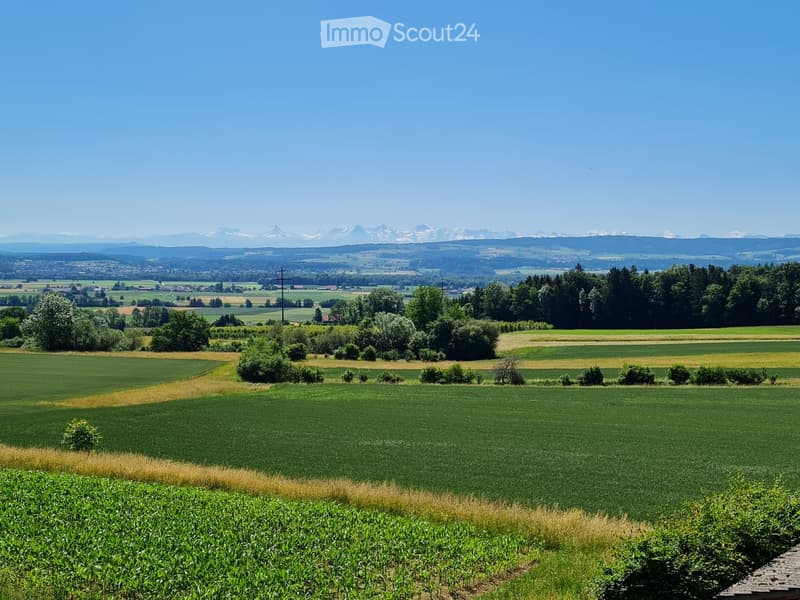 Expansive green field with crops, trees, and distant mountains under a clear blue sky.