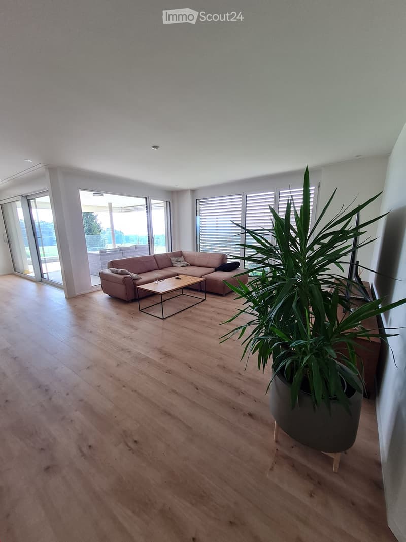 Modern living room with light wooden flooring, large windows, and a beige sectional sofa paired with a glass coffee table. A tall potted plant is placed near the seating area.