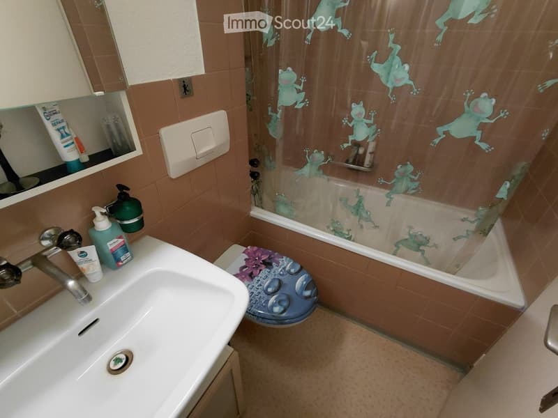 Bathroom with a white sink, mirror, toilet, and a shower with a frog-themed curtain. The sink has a soap dispenser and a bottle of lotion, and the toilet has a decorative cover.