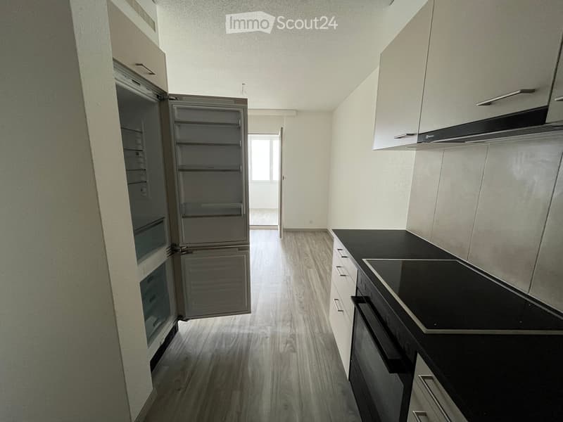 Modern kitchen with white cabinets, black countertop, stainless steel appliances, and wooden flooring.